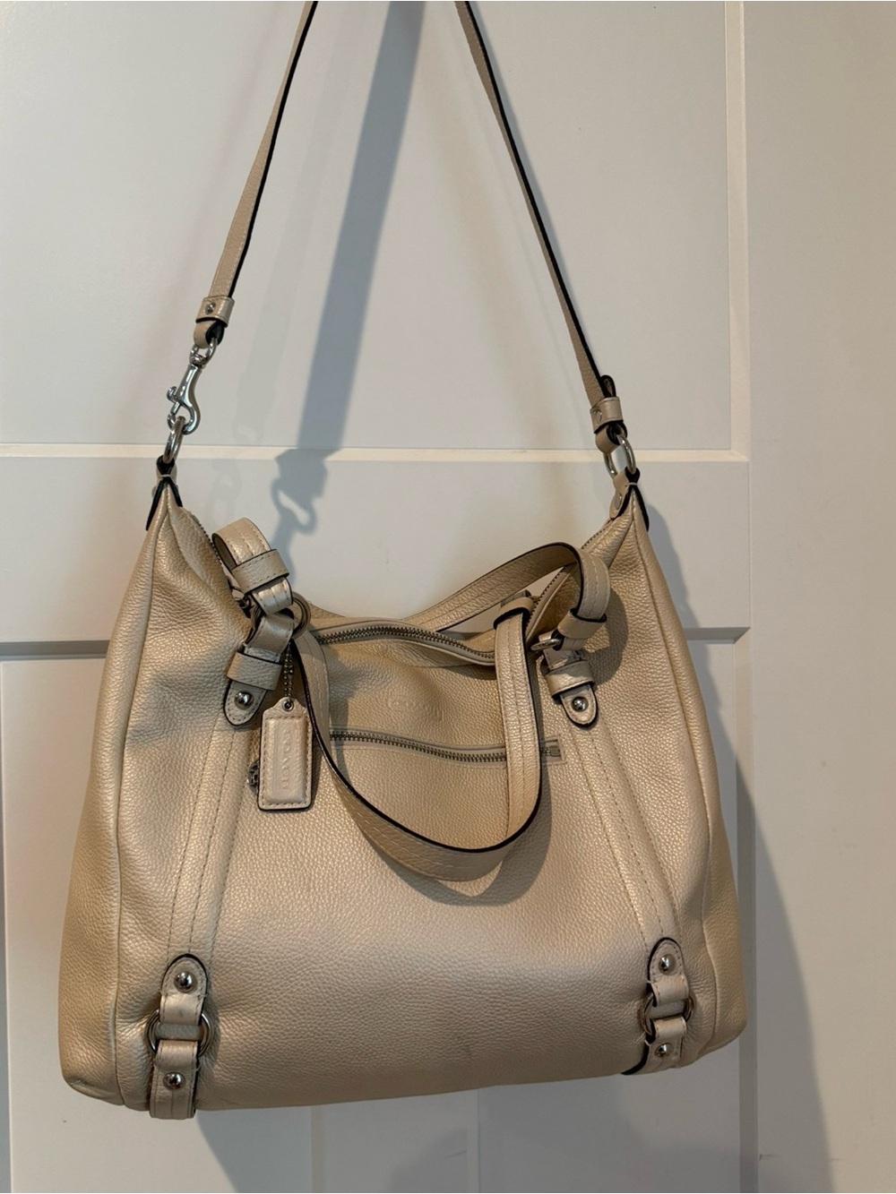Coach Metallic Leather Shoulder Bag